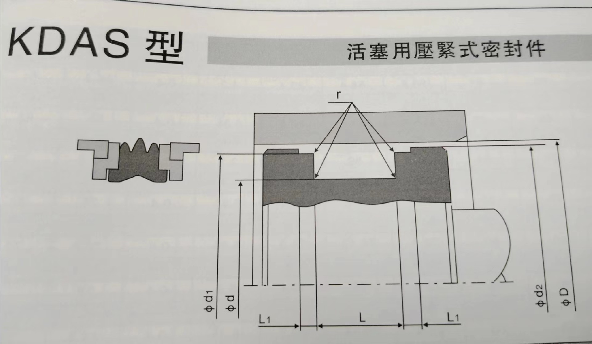 KDAS组合油封密封圈.jpg
